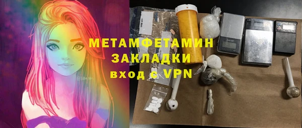 индика Богородицк