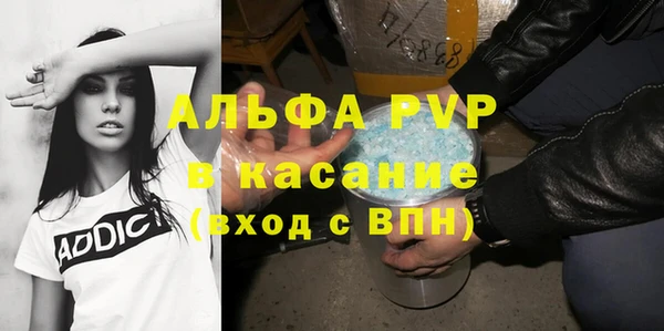 индика Богородицк
