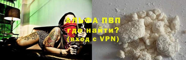 индика Богородицк