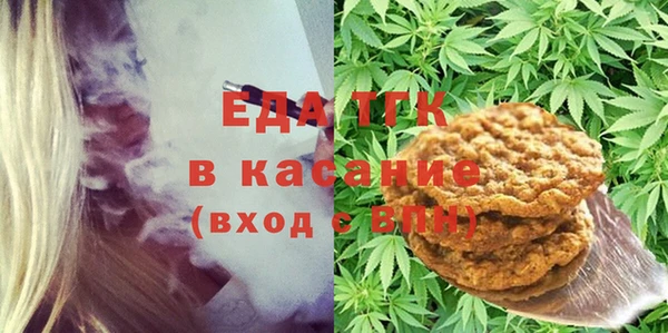 индика Богородицк