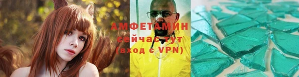 индика Богородицк