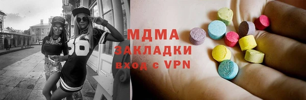 индика Богородицк