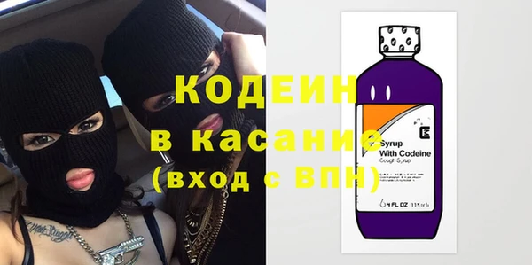 индика Богородицк