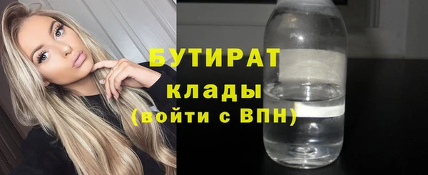 индика Богородицк