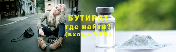 индика Богородицк