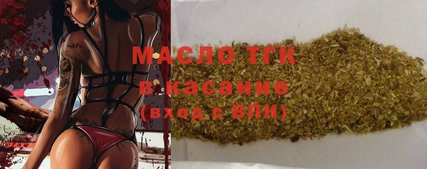 индика Богородицк