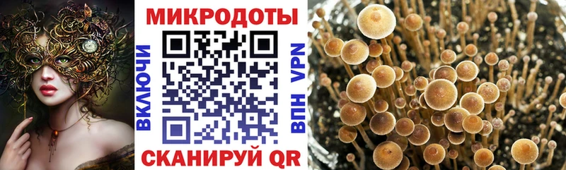 Псилоцибиновые грибы прущие грибы  гидра зеркало  Бор  где продают  