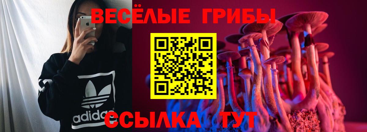 Галлюциногенные грибы ЛСД Бор